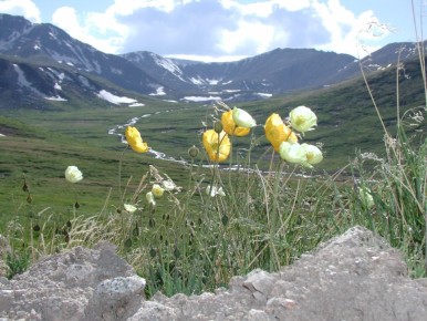 27 ���������������� ���������� ����� �������� ������ �� �������� �������