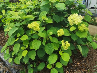 ������������ ����: ������� ������� �����������