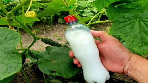 13 ������ ��� ������: ��� ������ ���������� ������� ��� ���������� ���������