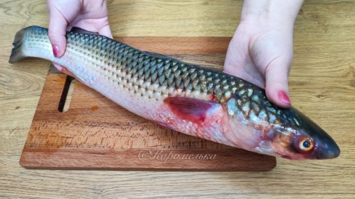 ��������� ������ � ����� �� ������ ����: ������� ����� ��� �����