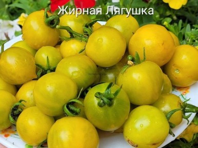 ����� ������ �������: ���������� ���� � �������� ������������ ������ ��� ������