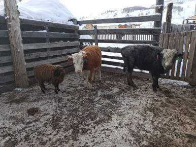 � ���� ����� ����������� ������ ������������ ���� ����������� � ���������������