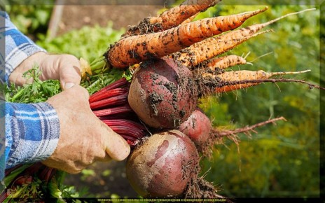 ��� ���������� ������ ������ ����������� � ��������� ������ � ��������