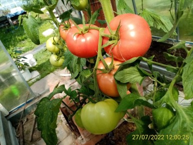 ��� ������� �������� ���������: ��������� ���������� �������