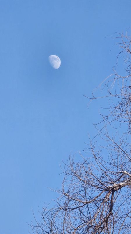 � �����-�������� �������� ����