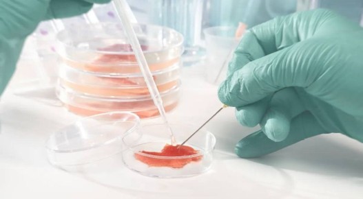 � ����������� ����������� ��������� ������������� ������