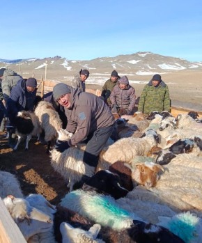 � ���� ����-��� ��������� ������������ ����� �� �����������