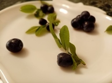 ��� ������ ���� �� ������� � ������ ����: ������� ��� ������� ��������