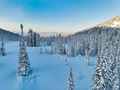 ������ �� ������������ ������