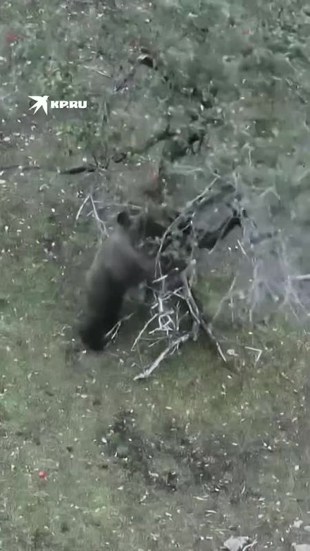 �������, ������� ������. ������� ����� �������� ������ � ��������� �����������