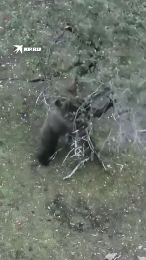 �������, ������� ������. ������� ����� �������� ������ � ��������� �����������