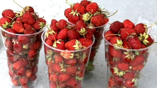 �������� �� ���: ��� ������, ������� �� �������� ����������, ��������� ����