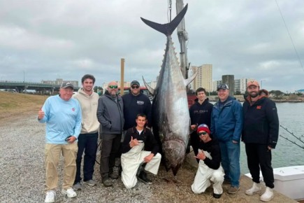 Рекордный тунец: в Вирджинии поймали рыбу весом 379 кг