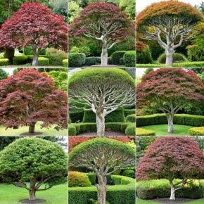 ������ ����: ��� ���������� � ���� � �������?