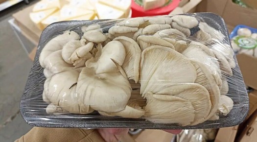 ��������� �������: ������� ����������� � ������ �������