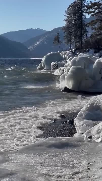 ������ ����. ����������� ������ �������� �����