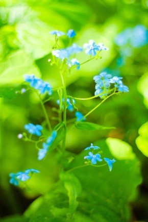 Остался всего один месяц до весны!