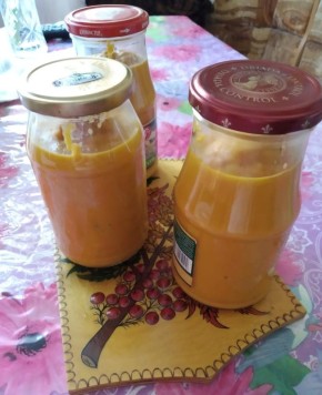 ������������ ������ ���������� ����, ������� ����� �����������