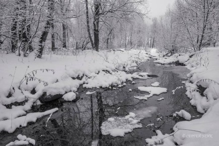 �������� � �������� ��� ���������� ��������������