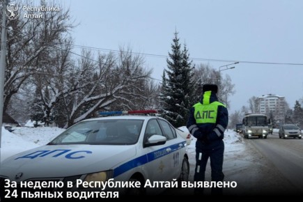 За период с 26 января по 1 февраля сотрудники Госавтоинспекции выявили и отстранили от управления 24 пьяных водителя