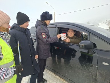 Сотрудники Госавтоинспекции совместно с представителями родительской общественности Каракольской школы провели акцию «Родительский патруль»