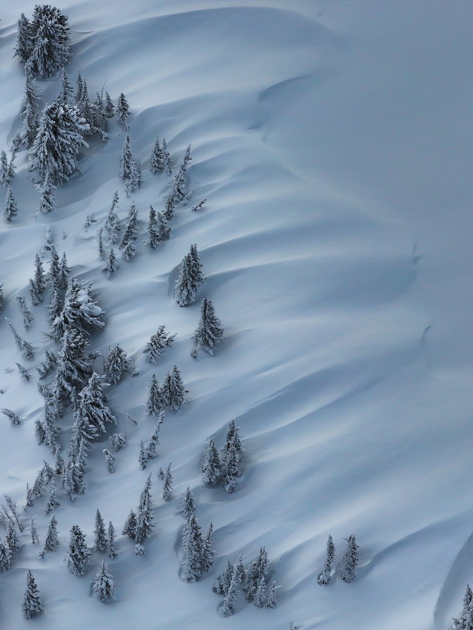 Волшебные зимние открыточки от сотрудников Алтайского заповедника Романа и Татьяны Воробьёвых Волшебные зимние открыточки от сотрудников Алтайского заповедника Романа и Татьяны Воробьёвых