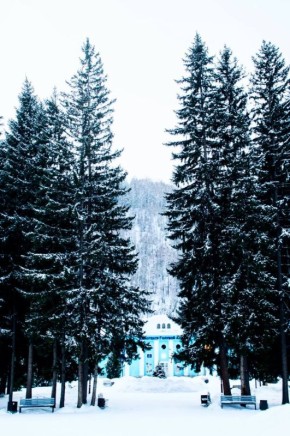 � ������ � ��������. ��������� ���� �������� � ������