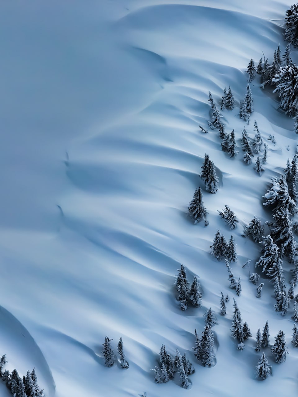 Волшебные зимние открыточки от сотрудников Алтайского заповедника Романа и Татьяны Воробьёвых Волшебные зимние открыточки от сотрудников Алтайского заповедника Романа и Татьяны Воробьёвых