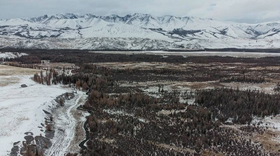 ��������� ����� � ������� ��������� ��������� ������� ����� 20 ���������� �� ���-������� ���������� �����