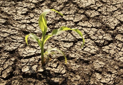 ��� ���������� �������� ����� � ��������: ������ ��� ���������