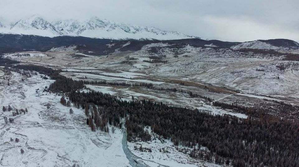 ��������� ����� � ������� ��������� ��������� ������� ����� 20 ���������� �� ���-������� ���������� �����