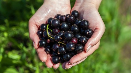 ��� ������������ ������� ��������� ����� ����������� �������� ��� ������