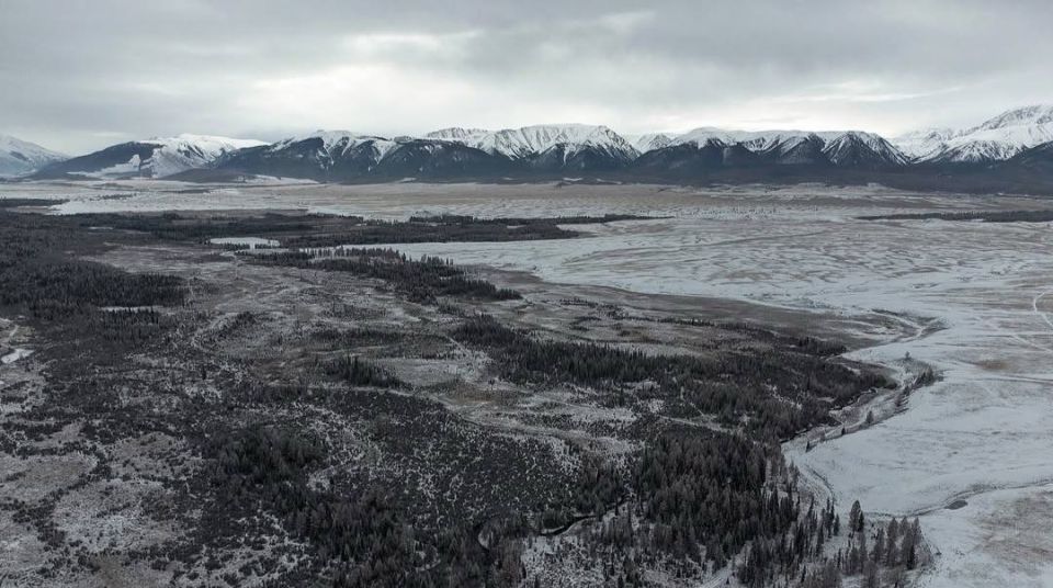 ��������� ����� � ������� ��������� ��������� ������� ����� 20 ���������� �� ���-������� ���������� �����