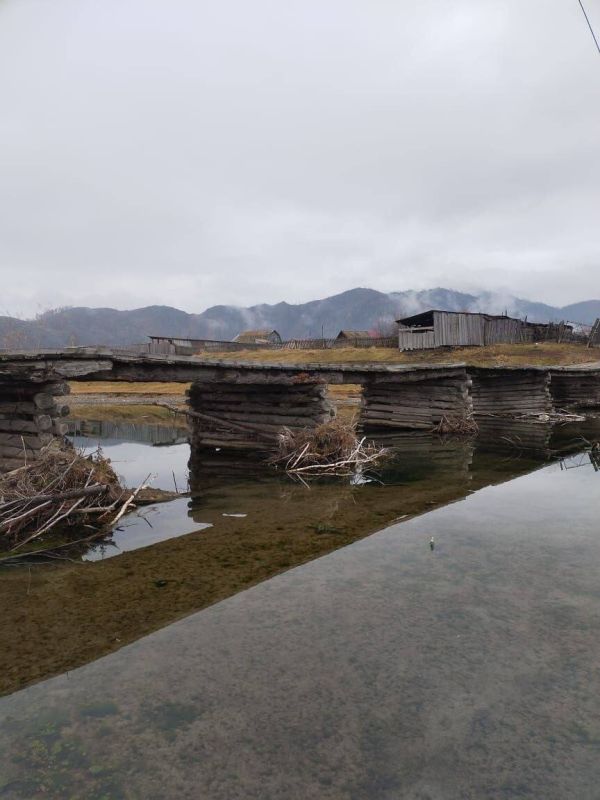 � ���������� ������������� ����������� ����-����������� ������ ������������ ���� ����� �. ����