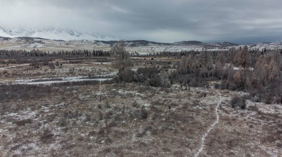 ��������� ����� � ������� ��������� ��������� ������� ����� 20 ���������� �� ���-������� ���������� �����