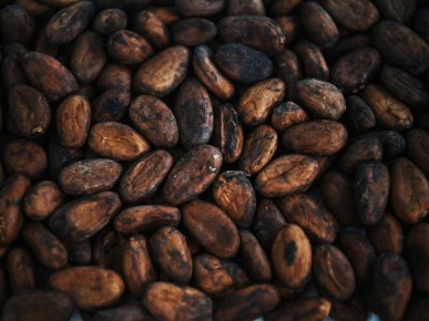 Цены на какао-бобы продолжают падение с рекордным снижением