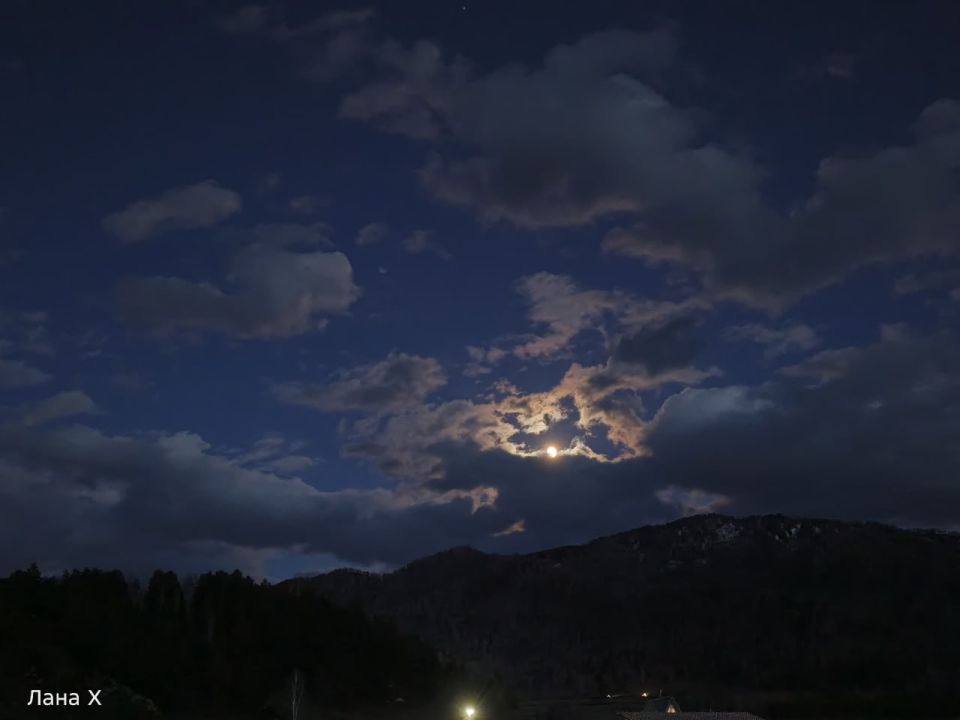 ���� ������? ��� ��� ���� �������� ��������