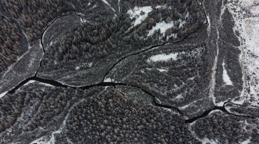 ��������� ����� � ������� ��������� ��������� ������� ����� 20 ���������� �� ���-������� ���������� �����