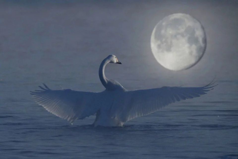 ����� ����������. ���������� �������� ������� ������� �� �����