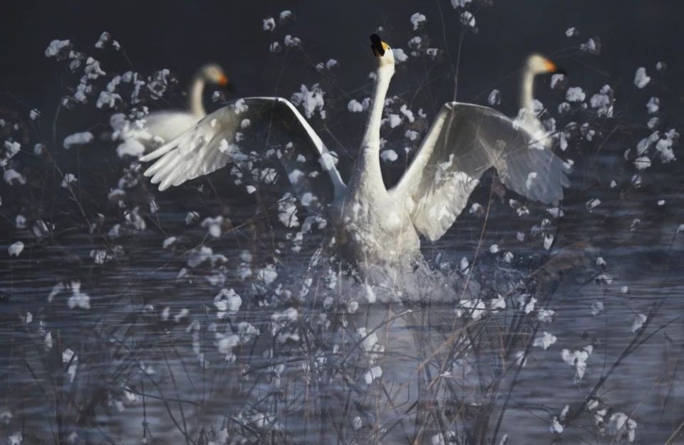 ����� ����������. ���������� �������� ������� ������� �� �����