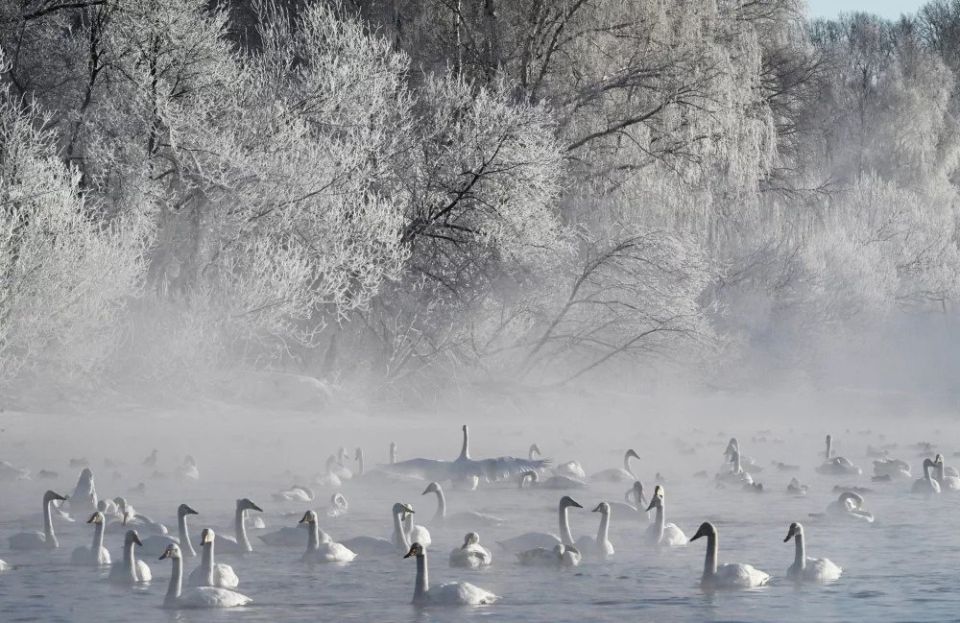 ����� ����������. ���������� �������� ������� ������� �� �����