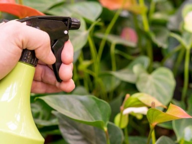 ��� ��� ������� ����� ��������� ��������� �������� ����