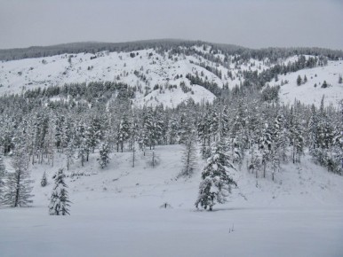 ������� ���� ����������� ������