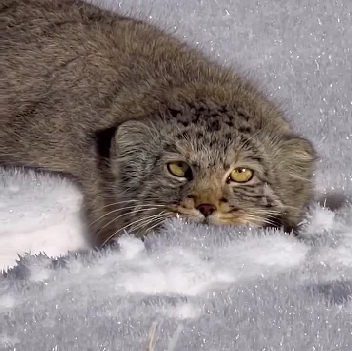 ��������� ������ � �����. �� ����������