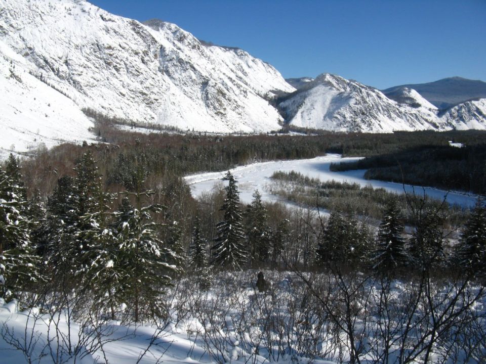 ������� ���� ����������� ������