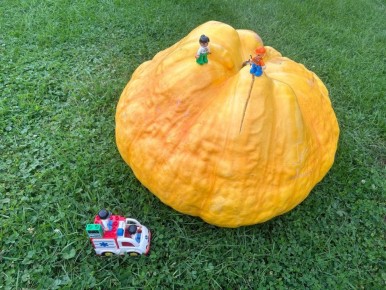 ��� ���������� ����� ����������� �� ������ ����������� � ��� ��������