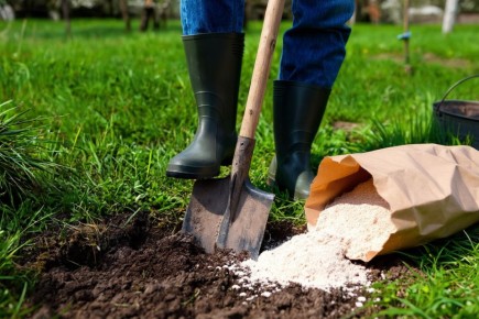 ��� ������ ���������� �� ������ �����: ����������� ������� ������� ������