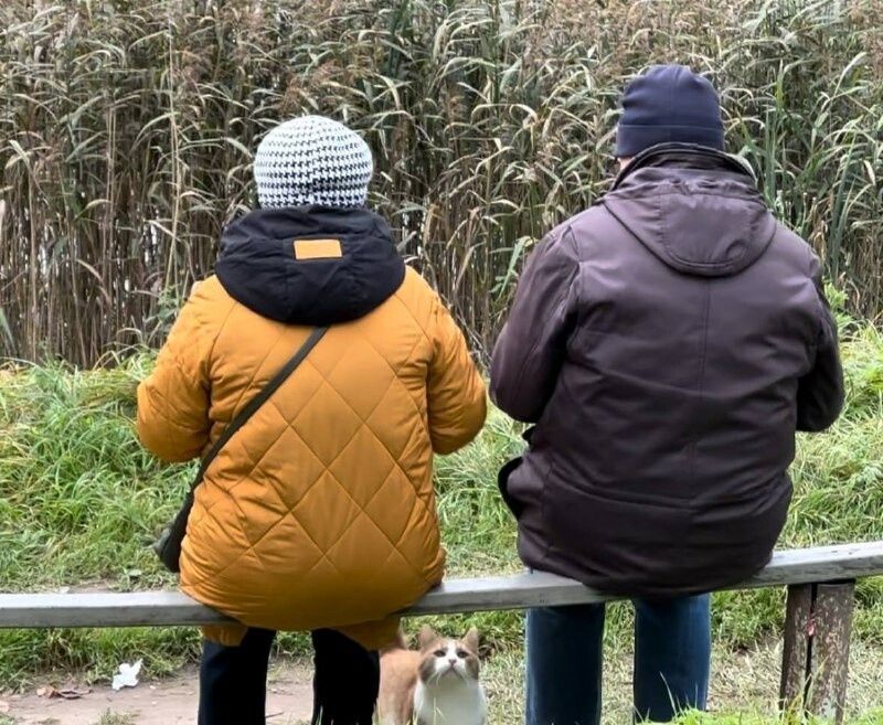 ������� ������� �� ������ � ����� ���� ��������� ��� ���, ���� �� 60