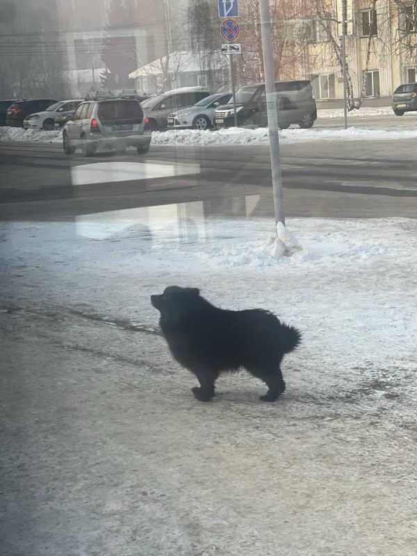 ����� ������� �� ������ ����������� ��������, 1� ������-���� ������ ������ ����, �����, ��� ���� �������, ������ ����-����, �� �� ������� �� �������