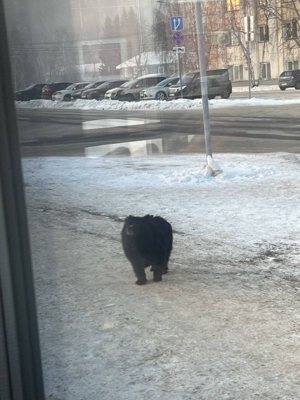 ����� ������� �� ������ ����������� ��������, 1� ������-���� ������ ������ ����, �����, ��� ���� �������, ������ ����-����, �� �� ������� �� �������